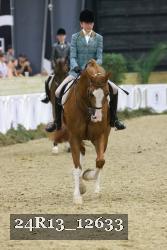 24R13_12633 thumbnail