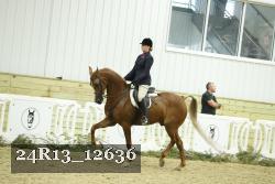 24R13_12636 thumbnail