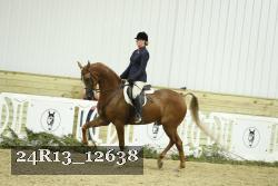 24R13_12638 thumbnail