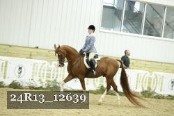 24R13_12639 thumbnail