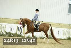 24R13_12640 thumbnail