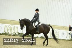 24R13_12641 thumbnail
