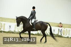 24R13_12643 thumbnail