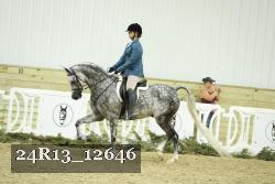24R13_12646 thumbnail