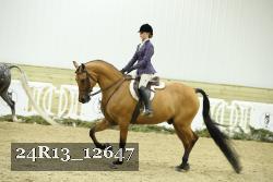 24R13_12647 thumbnail