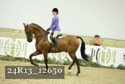 24R13_12650 thumbnail