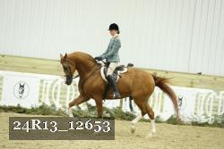 24R13_12653 thumbnail