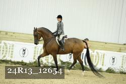 24R13_12654 thumbnail