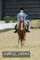 24R13_12661 thumbnail