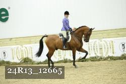 24R13_12665 thumbnail