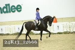 24R13_12666 thumbnail