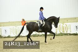 24R13_12667 thumbnail