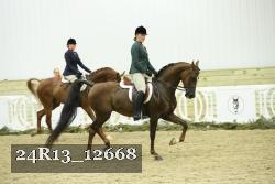 24R13_12668 thumbnail