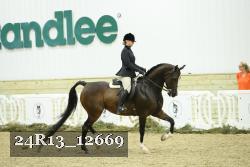 24R13_12669 thumbnail