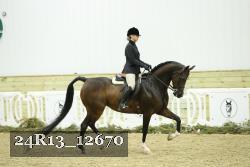 24R13_12670 thumbnail