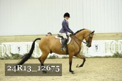 24R13_12675 thumbnail