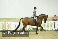 24R13_12677 thumbnail