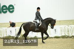 24R13_12678 thumbnail