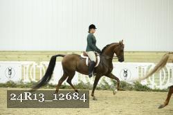 24R13_12684 thumbnail