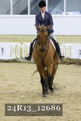 24R13_12686 thumbnail