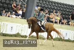 24R13_12716 thumbnail
