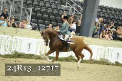 24R13_12717 thumbnail