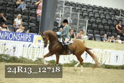 24R13_12718 thumbnail