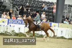 24R13_12719 thumbnail