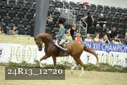 24R13_12720 thumbnail