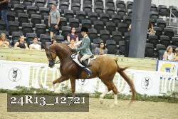 24R13_12721 thumbnail