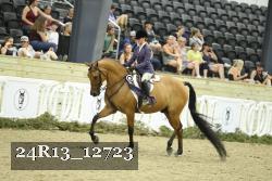 24R13_12723 thumbnail