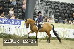 24R13_12725 thumbnail
