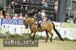 24R13_12727 thumbnail