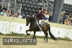 24R13_12729 thumbnail