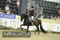 24R13_12730 thumbnail