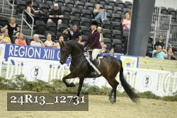 24R13_12731 thumbnail