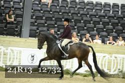 24R13_12732 thumbnail