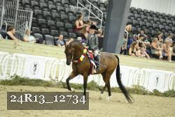 24R13_12734 thumbnail
