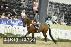 24R13_12736 thumbnail