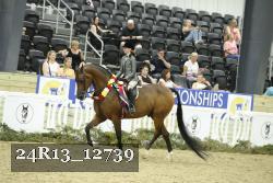 24R13_12739 thumbnail