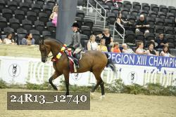24R13_12740 thumbnail