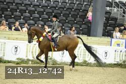 24R13_12742 thumbnail