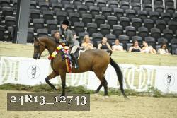 24R13_12743 thumbnail