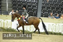 24R13_12744 thumbnail