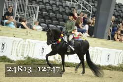 24R13_12747 thumbnail