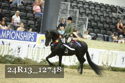 24R13_12748 thumbnail