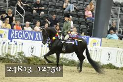 24R13_12750 thumbnail