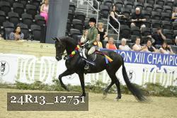 24R13_12751 thumbnail