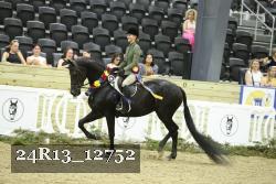24R13_12752 thumbnail