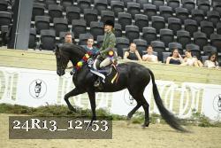 24R13_12753 thumbnail